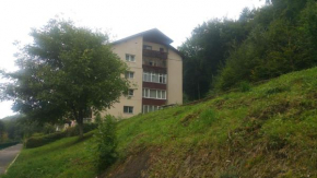 Гостиница M&F APARTAMENT JEPILOR  Брашов